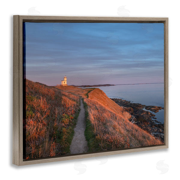 Stupell Industries Alan Majchrowicz | Path To Lighthouse