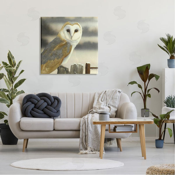 Stupell Industries Alan Weston | Barn Owl Gazing Perched Niveous Rural Fence Wall Art