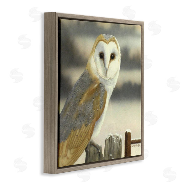 Stupell Industries Alan Weston | Barn Owl Gazing Perched Niveous Rural Fence Wall Art