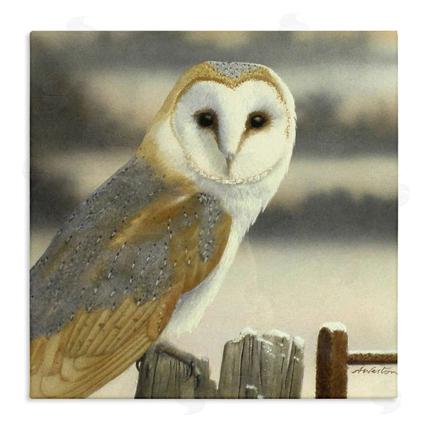 stupell industries Alan Weston | Barn Owl Gazing Perched Niveous Rural Fence Wall Art