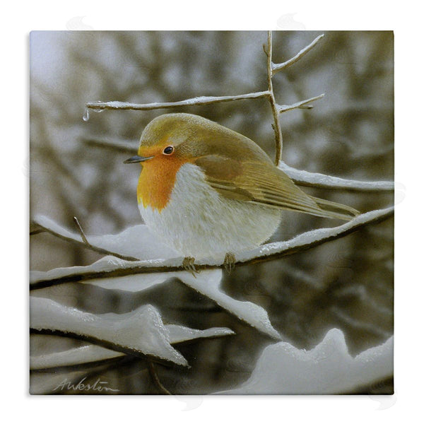 stupell industries Alan Weston | Little Bird Perched Detailed Snow Covered Twigs Wall Art