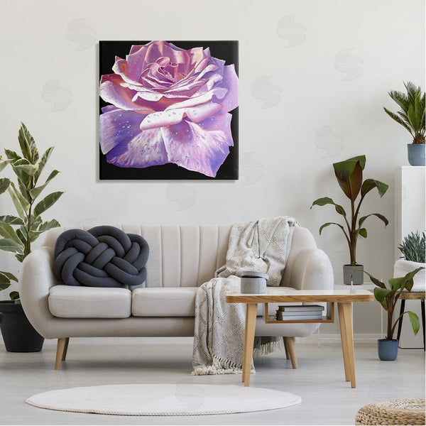 Stupell Industries Alan Weston | Lush Pink Rose Petals Flower Water Droplets Wall Art