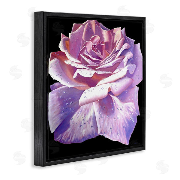 Stupell Industries Alan Weston | Lush Pink Rose Petals Flower Water Droplets Wall Art