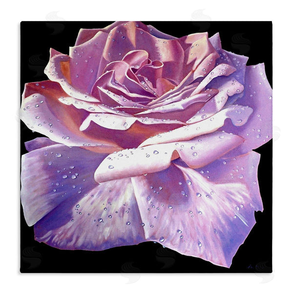 stupell industries Alan Weston | Lush Pink Rose Petals Flower Water Droplets Wall Art