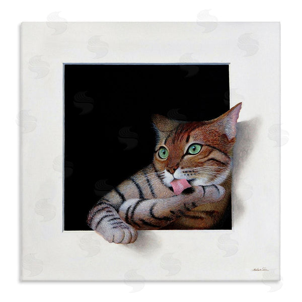 stupell industries Alan Weston | Manx Cat Grooming Green Eyes Optical Illusion Wall Art