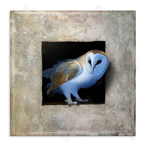 stupell industries Alan Weston | Mysterious Barn Owl Peering