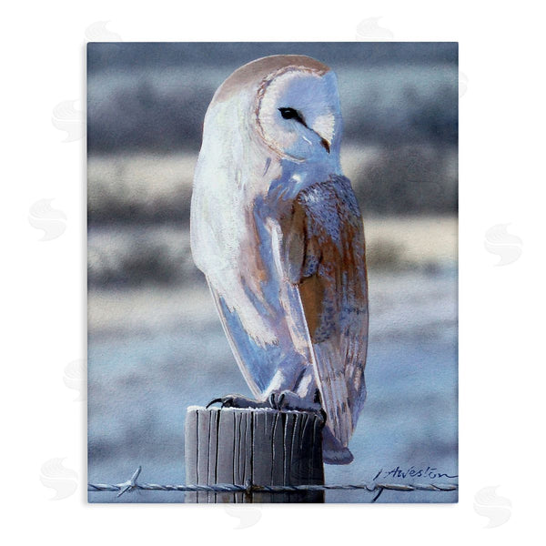 stupell industries Alan Weston | Serene Barn Owl Perched Snow Dusted Fence Wall Art