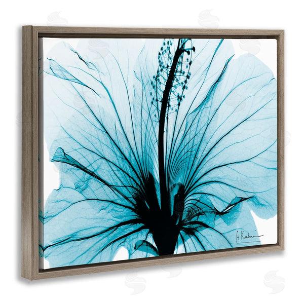 Stupell Industries Albert Koetsier | Blue Flower X-Ray Wall Art