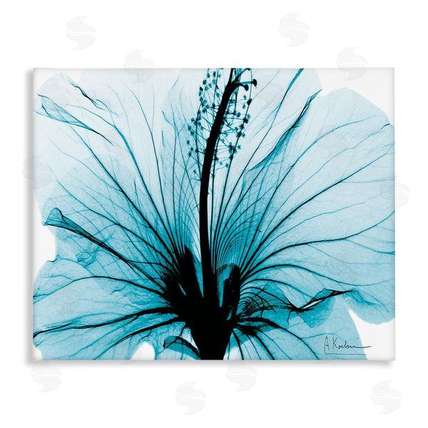 stupell industries Albert Koetsier | Blue Flower X-Ray Wall Art