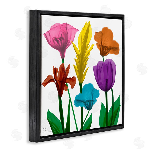 Stupell Industries Albert Koetsier | Bold Rainbow Spring Flowers Translucent Floral Photography Wall Art