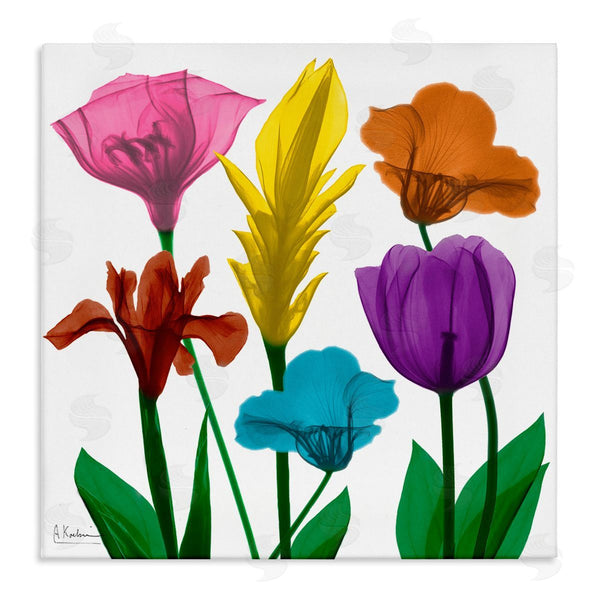 stupell industries Albert Koetsier | Bold Rainbow Spring Flowers Translucent Floral Photography Wall Art