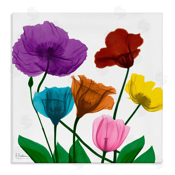 stupell industries Albert Koetsier | Bold Summer Blooming Florals Translucent Rainbow Flowers Wall Art
