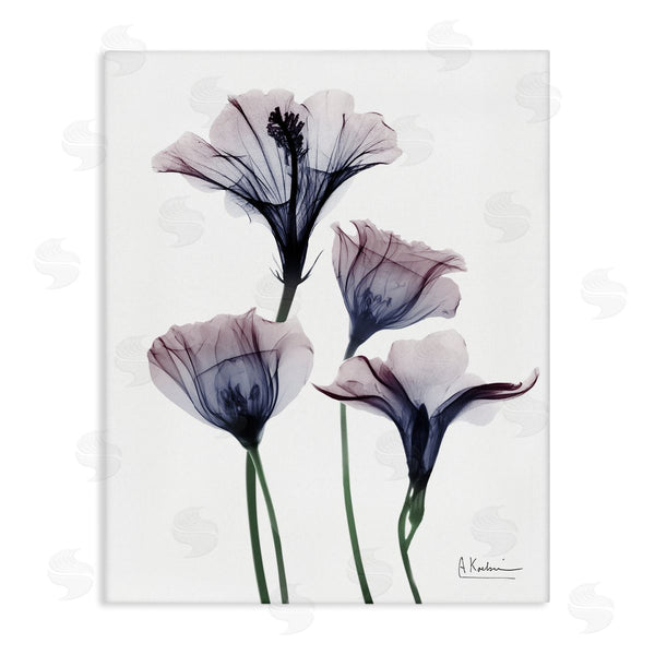 stupell industries Albert Koetsier | Bountiful Dusk Flowers