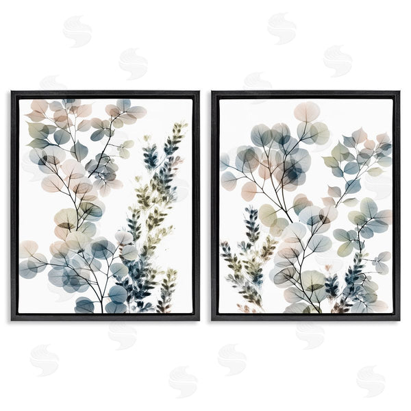 Stupell Industries Albert Koetsier | Collage Of Translucent Plants
