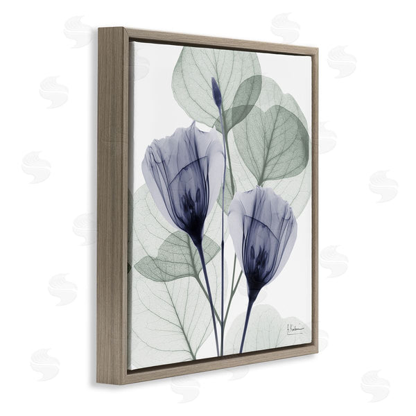 Stupell Industries Albert Koetsier | Contemporary Eucalyptus & Herbs