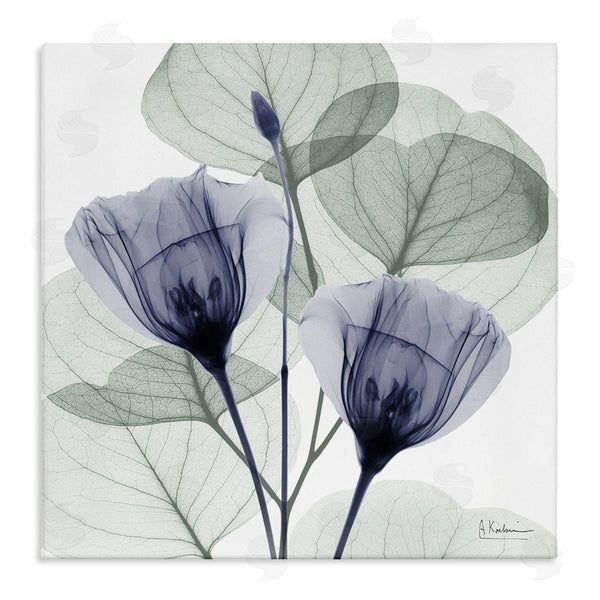 stupell industries Albert Koetsier | Contemporary Eucalyptus & Herbs