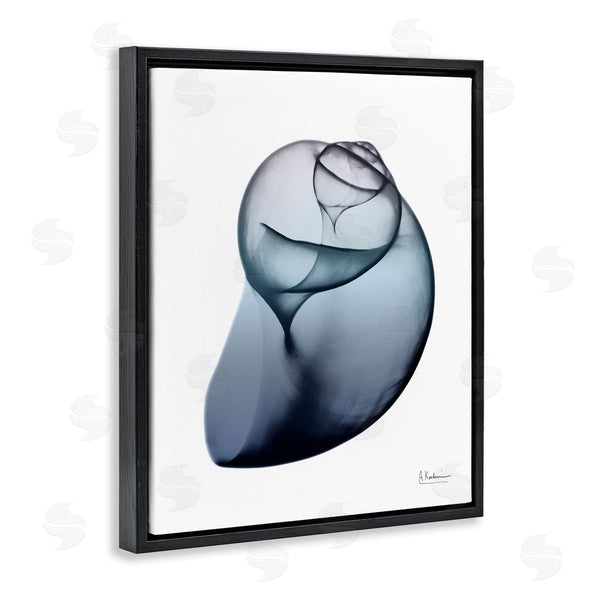 Stupell Industries Albert Koetsier | Contemporary Snail Shell