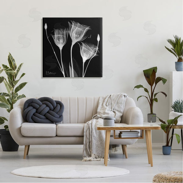 Stupell Industries Albert Koetsier | Contemporary Tulip X-Ray Wall Art
