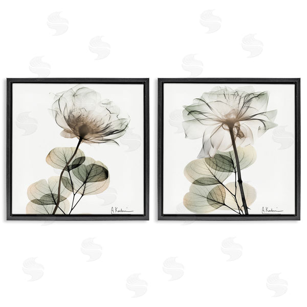 Stupell Industries Albert Koetsier | Cream Transparent Floral