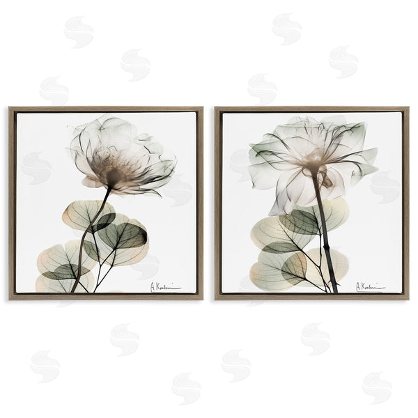 Stupell Industries Albert Koetsier | Cream Transparent Floral