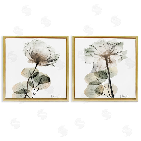 Stupell Industries Albert Koetsier | Cream Transparent Floral