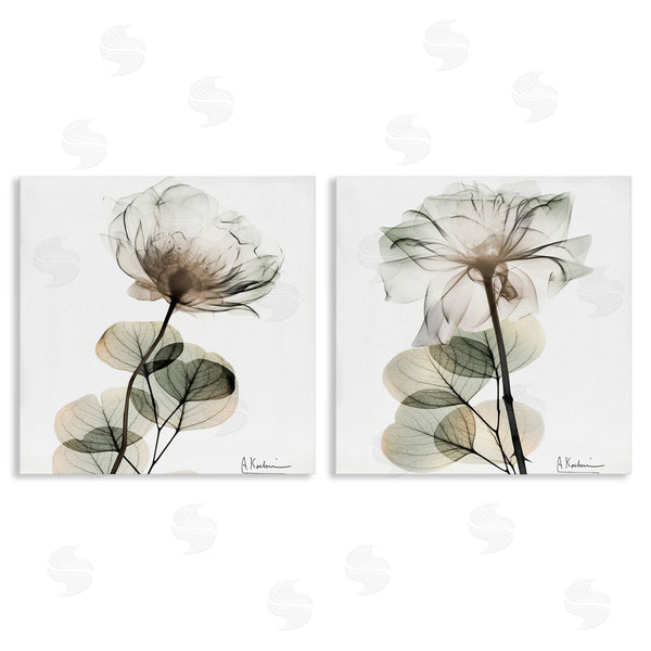 stupell industries Albert Koetsier | Cream Transparent Floral