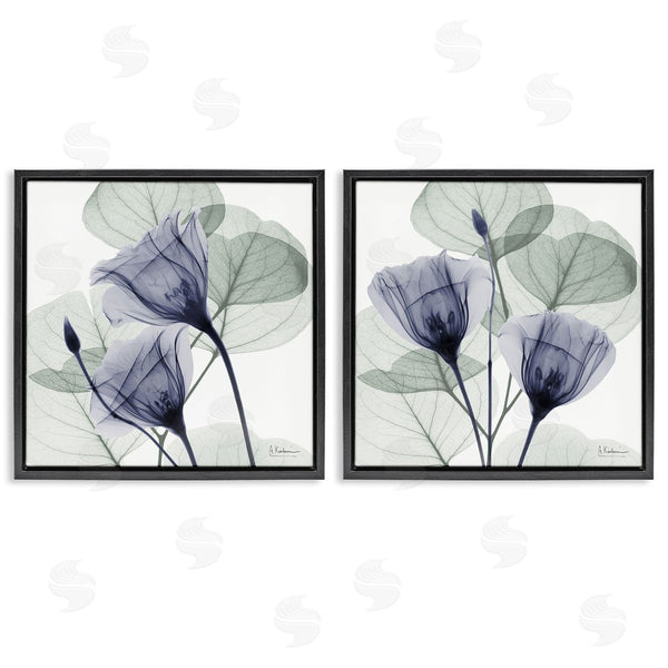 Stupell Industries Albert Koetsier | Fading Florals & Herbs