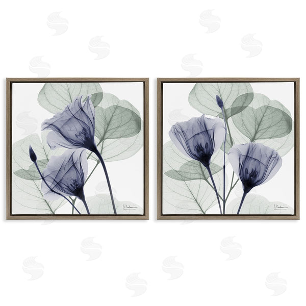 Stupell Industries Albert Koetsier | Fading Florals & Herbs