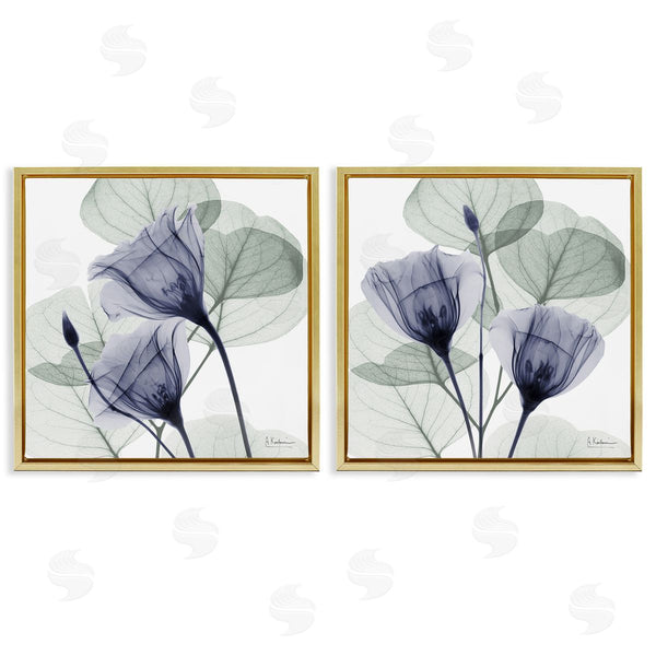 Stupell Industries Albert Koetsier | Fading Florals & Herbs
