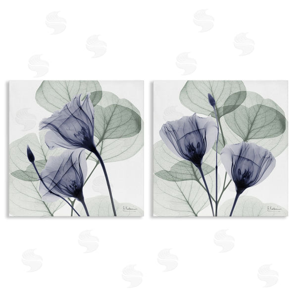 stupell industries Albert Koetsier | Fading Florals & Herbs