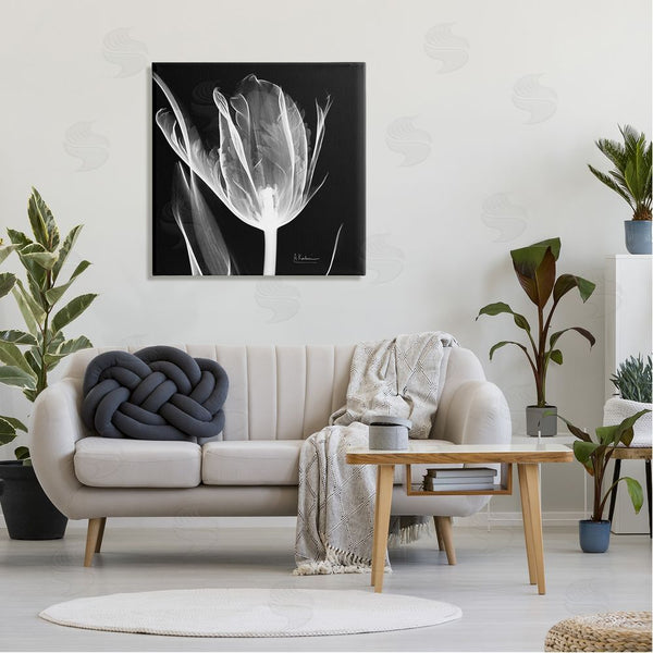 Stupell Industries Albert Koetsier | Flower X-Ray On Black Wall Art