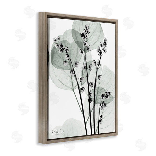 Stupell Industries Albert Koetsier | Fresh Minimalist Herbs