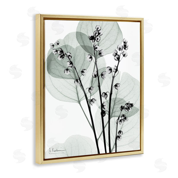 Stupell Industries Albert Koetsier | Fresh Minimalist Herbs