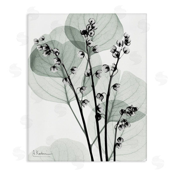 stupell industries Albert Koetsier | Fresh Minimalist Herbs