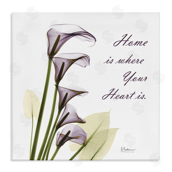 stupell industries Albert Koetsier | Home Where Heart Is Calla Lillies