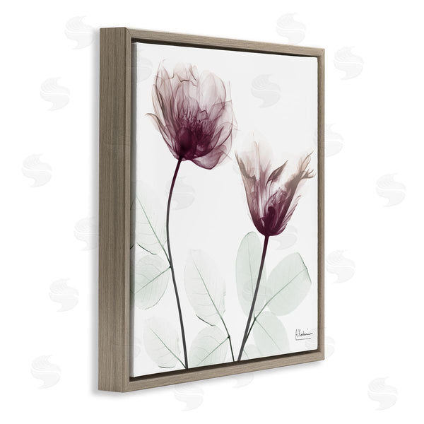 Stupell Industries Albert Koetsier | Minimalist Translucent Flowers