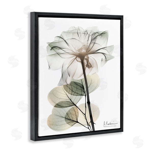 Stupell Industries Albert Koetsier | Modern Minimalist Buds