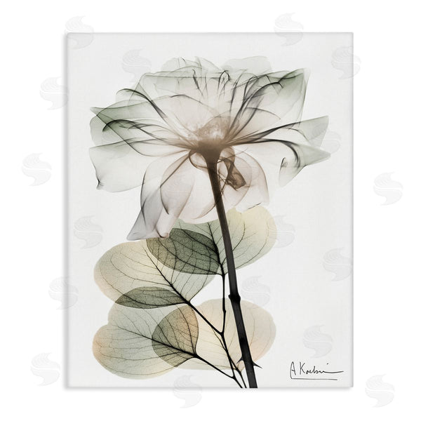 stupell industries Albert Koetsier | Modern Minimalist Buds