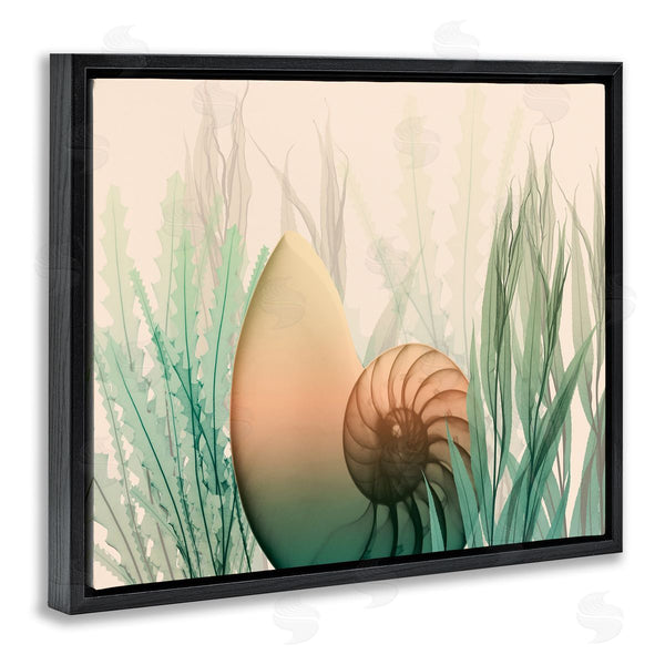 Stupell Industries Albert Koetsier | Ocean Seashell Seaweed Collage