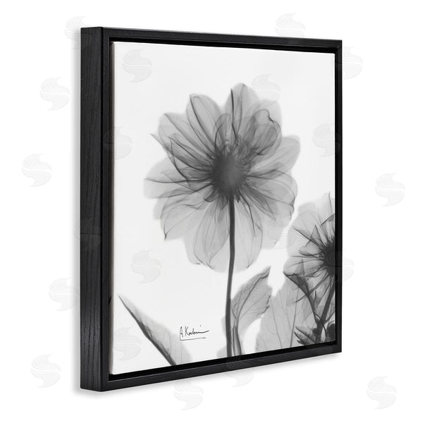 Stupell Industries Albert Koetsier | Opaque Dahlia Flower Silhouette