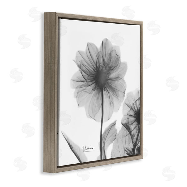 Stupell Industries Albert Koetsier | Opaque Dahlia Flower Silhouette