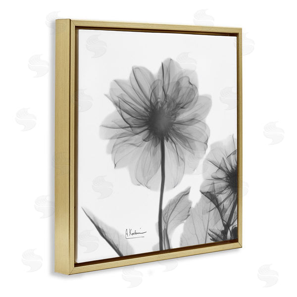 Stupell Industries Albert Koetsier | Opaque Dahlia Flower Silhouette