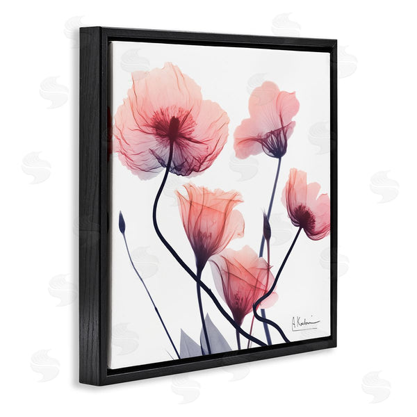 Stupell Industries Albert Koetsier | Pink Chic Simple Flowers