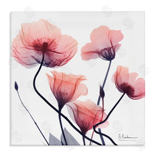 stupell industries Albert Koetsier | Pink Chic Simple Flowers