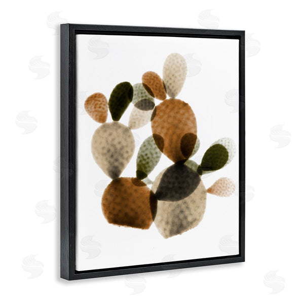 Stupell Industries Albert Koetsier | Prickly Pear Cactus Plants Layered Green Brown Succulents Wall Art