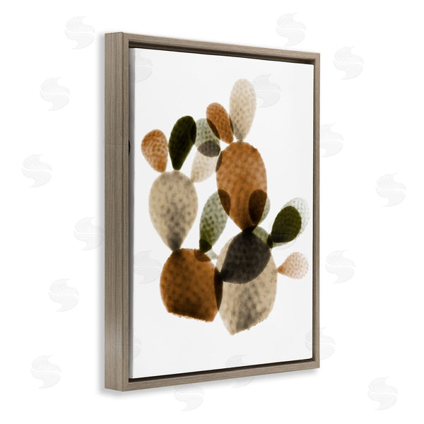 Stupell Industries Albert Koetsier | Prickly Pear Cactus Plants Layered Green Brown Succulents Wall Art