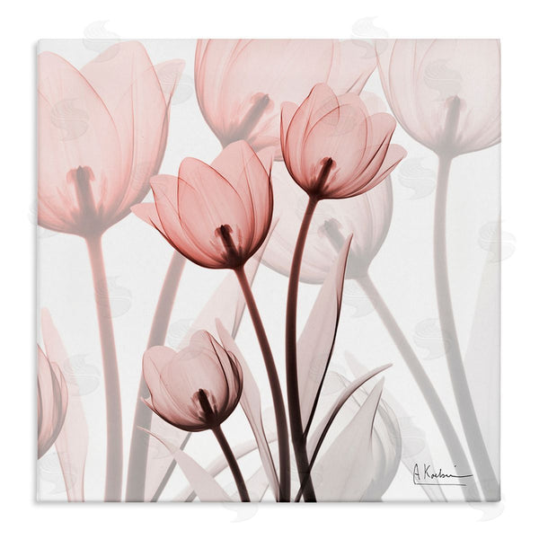 stupell industries Albert Koetsier | Red Floral Silhouettes Modern Photograph