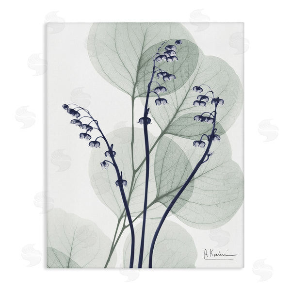 stupell industries Albert Koetsier | Serene Modern Eucalyptus