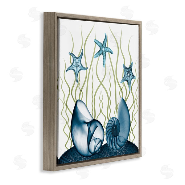 Stupell Industries Albert Koetsier | Shells And Starfish Modern Sea Design Wall Art