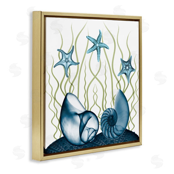 Stupell Industries Albert Koetsier | Shells And Starfish Modern Sea Design Wall Art